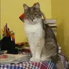Отзыв от Венера Ермилова